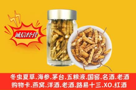 新竹县回收散虫草