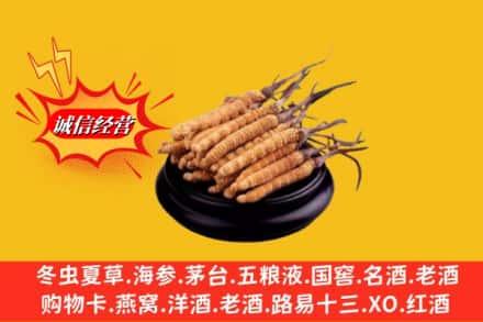 新竹县求购回收虫草多少钱每克